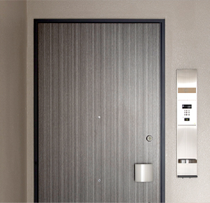 対震ドア枠付玄関ドア