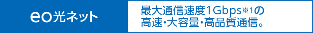 eco光ネット